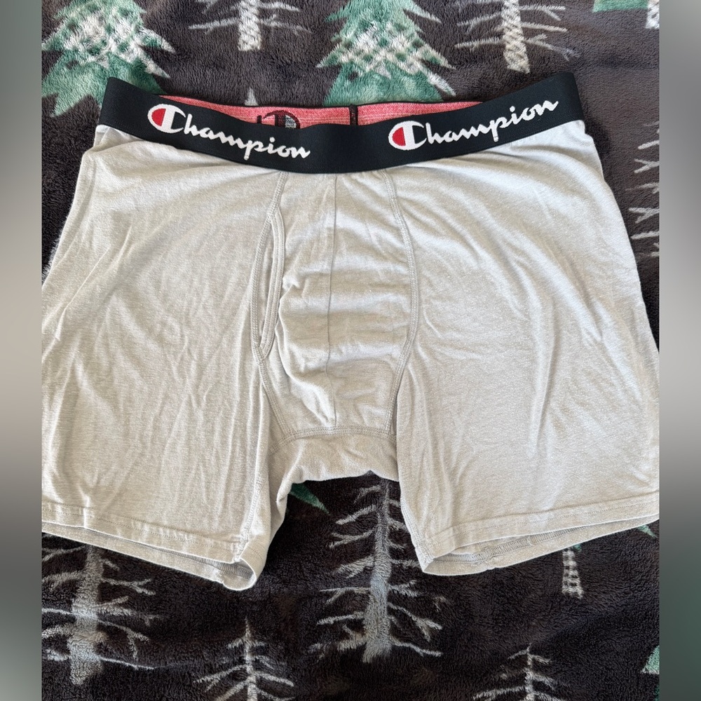 Champion Light Gray Boxer Briefs
NWOT